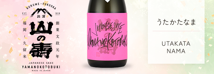 山の壽 ヤマノコトブキ フリークス1 うたかたなま 720ml